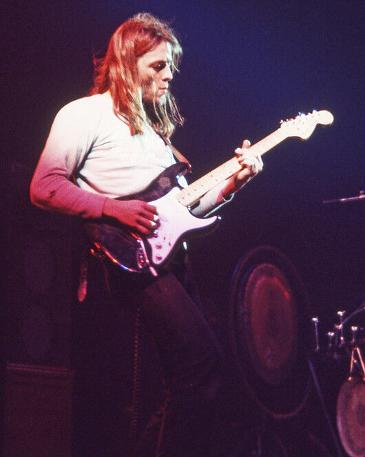 English Rock Guitarist David Gilmour Glossy 8x10 Photo Print Pink Floyd Poster