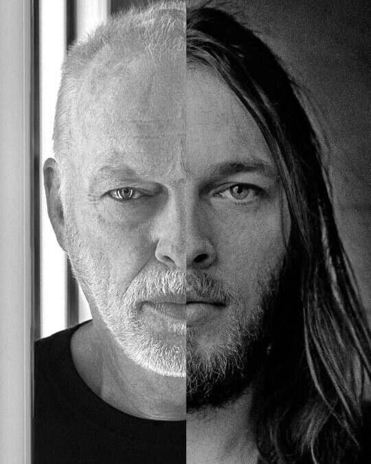 Pink Floyd's David Gilmour Now-and-then Portrait B/w Photo Print 8 X 10"