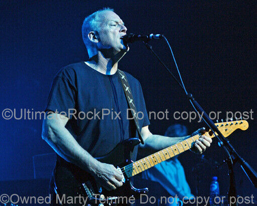 David Gilmour Photo Pink Floyd 8x10 Concert Photo By Marty Temme Black Strat 1c