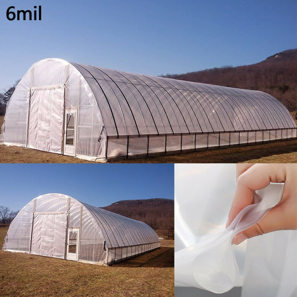 Greenhouse Plastic Clear 5yr 6 Mil Poly Film Cover 25-100ft Long X 13-33ft Wide