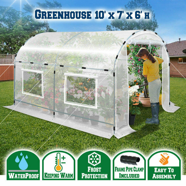 New Arrival 10'x7'x6' Walk-in White Greenhouse Plant Gardening  W Clamps Outdoor